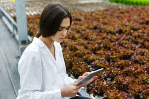 El uso de la tecnología en la producción orgánica