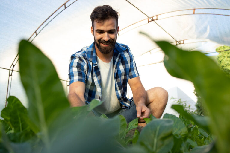 ¿En qué consiste la agricultura 4.0?