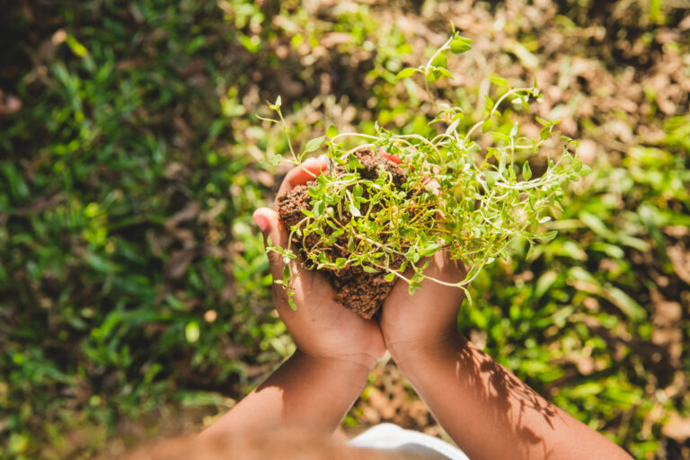 La agricultura regenerativa para enfrentar los efectos del cambio climático