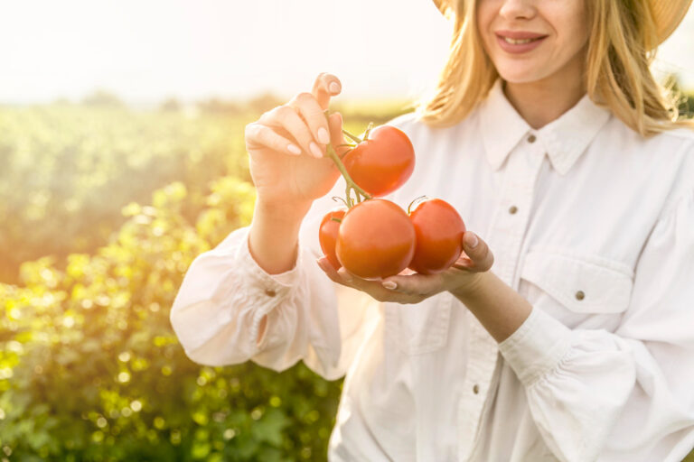 Adoptar buenas prácticas agrícolas para mejorar el sabor del tomate