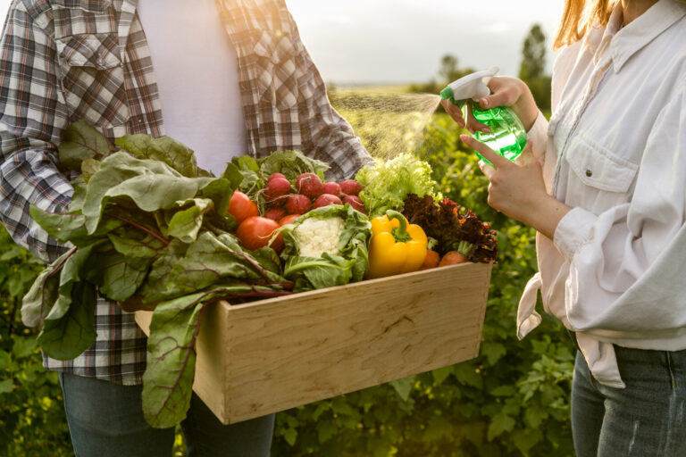 La agricultura orgánica cada vez elegida por los consumidores