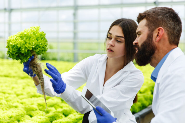Los efectos de la producción orgánica en la salud pública