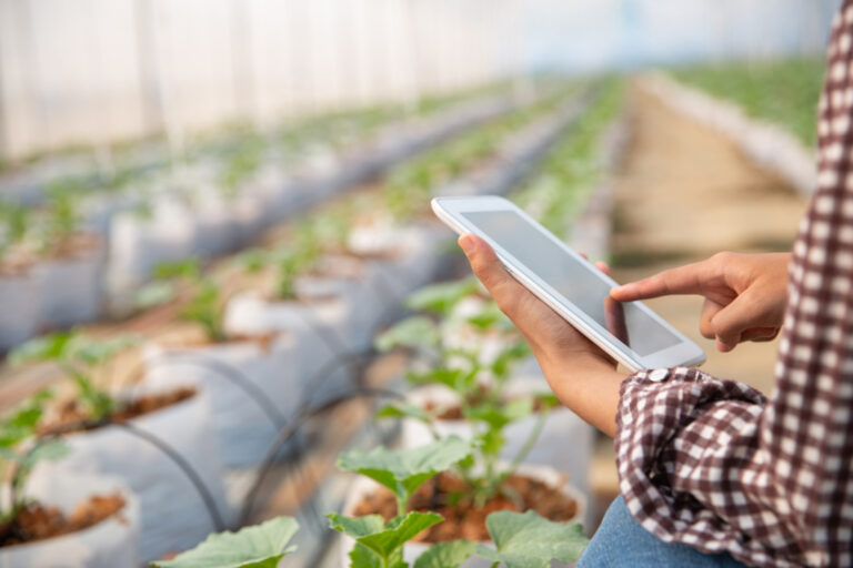 La digitalización en la producción agrícola