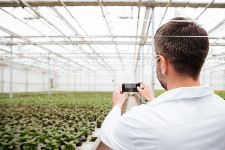 ¿Cuáles son las principales innovaciones agrícolas?