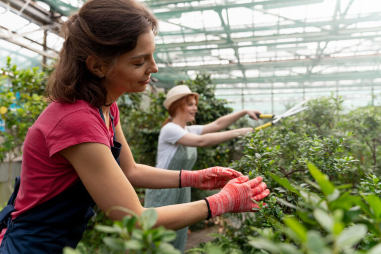 Argentina lidera a nivel mundial la práctica de la agricultura regenerativa 