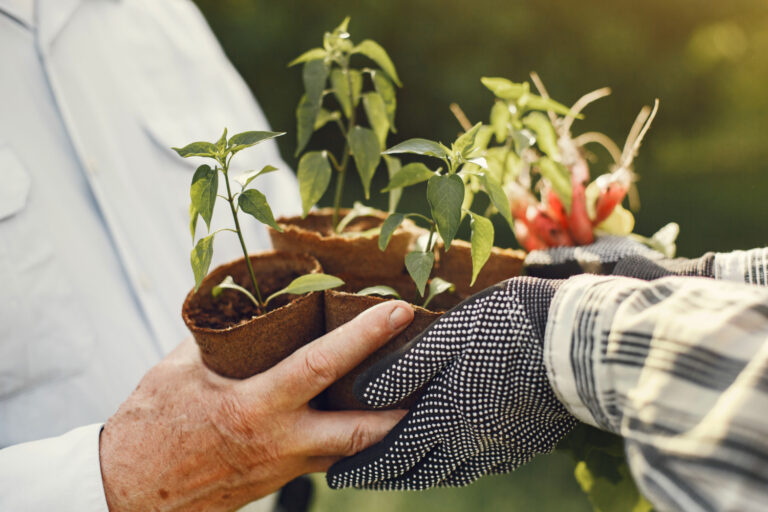 Por qué la agricultura familiar aporta valor a las comunidades