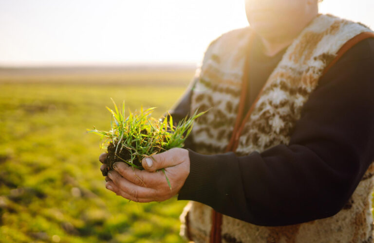 El origen de la agricultura regenerativa