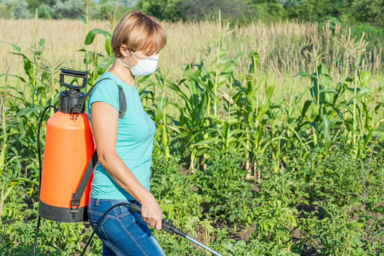 El uso y la aplicación de insecticidas orgánicos