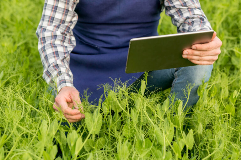 De qué se trata la agricultura inteligente sobre la cual ya se trabaja en Argentina