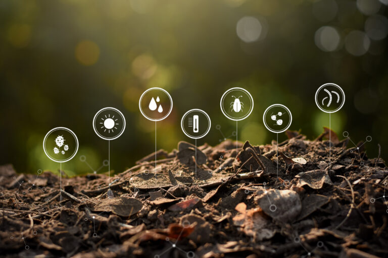 El cambio climático y los rendimientos de una producción orgánica
