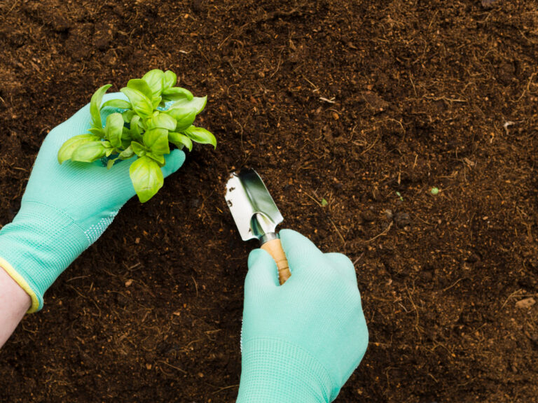 El papel de los fertilizantes biológicos en la agricultura regenerativa