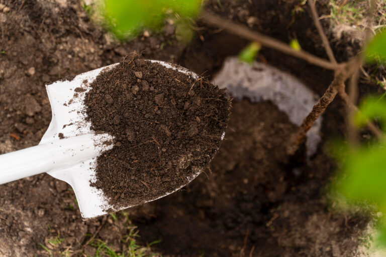 Los fertilizantes orgánicos como alternativa a los químicos tradicionales