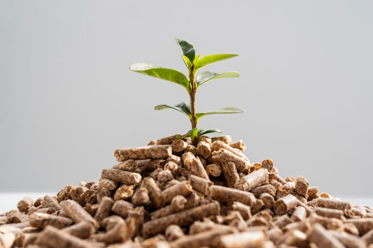 Producir sin dañar los recursos naturales: las claves para una agricultura amigable con el ambiente