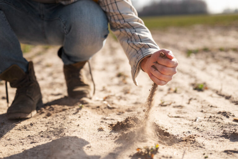 Tener en buenas condiciones los suelos agrícolas: el pilar para conseguir rendimientos productivos