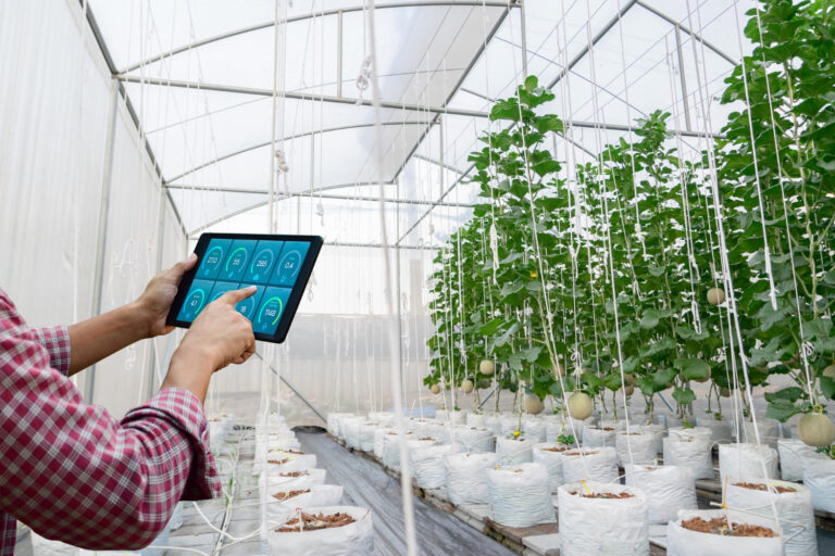 El uso de tecnologías innovadoras en la producción agrícola 