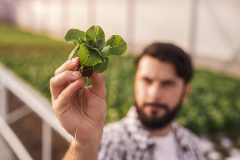 ¿Qué es la agricultura sostenible?
