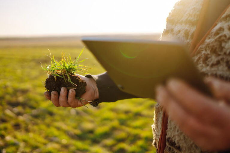 Cómo construir un enfoque agrícola que cuide el medio ambiente
