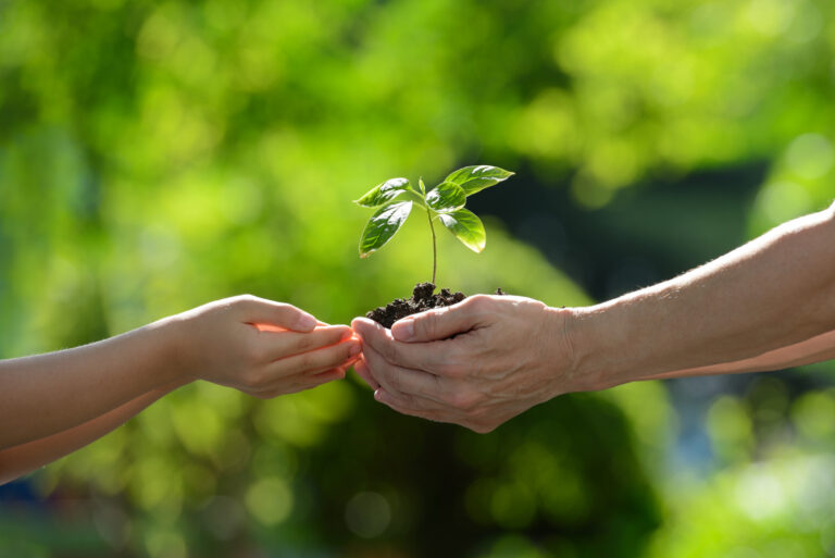 Agro Sustentable amplía su impacto social y ambiental con nuevas iniciativas