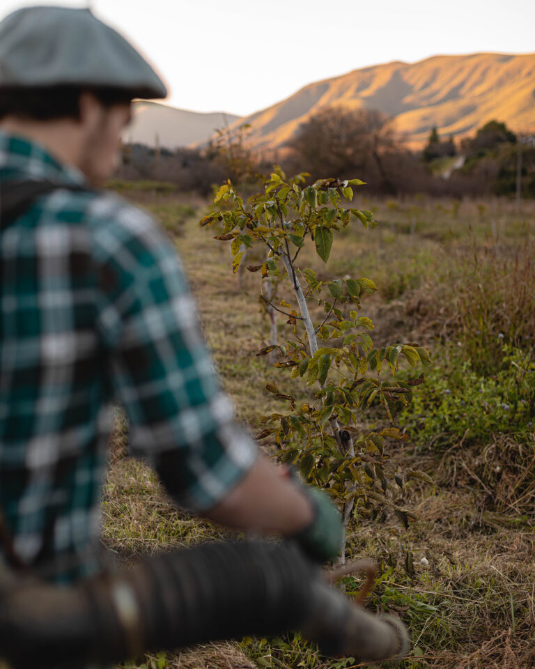 Con el foco puesto en la producción de biofertilizantes, Agro Sustentable integra el uso de la tecnología