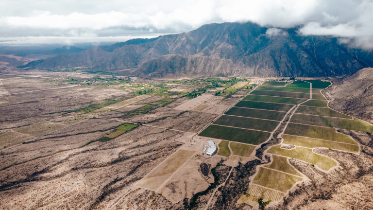 Los bioinsumos de la empresa Agro Sustentable : para qué sirven y cómo aplicarlos