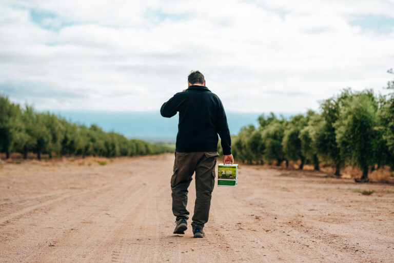 El uso de BIOINSECT de Agro Sustentable para el control de plagas en el pepino 
