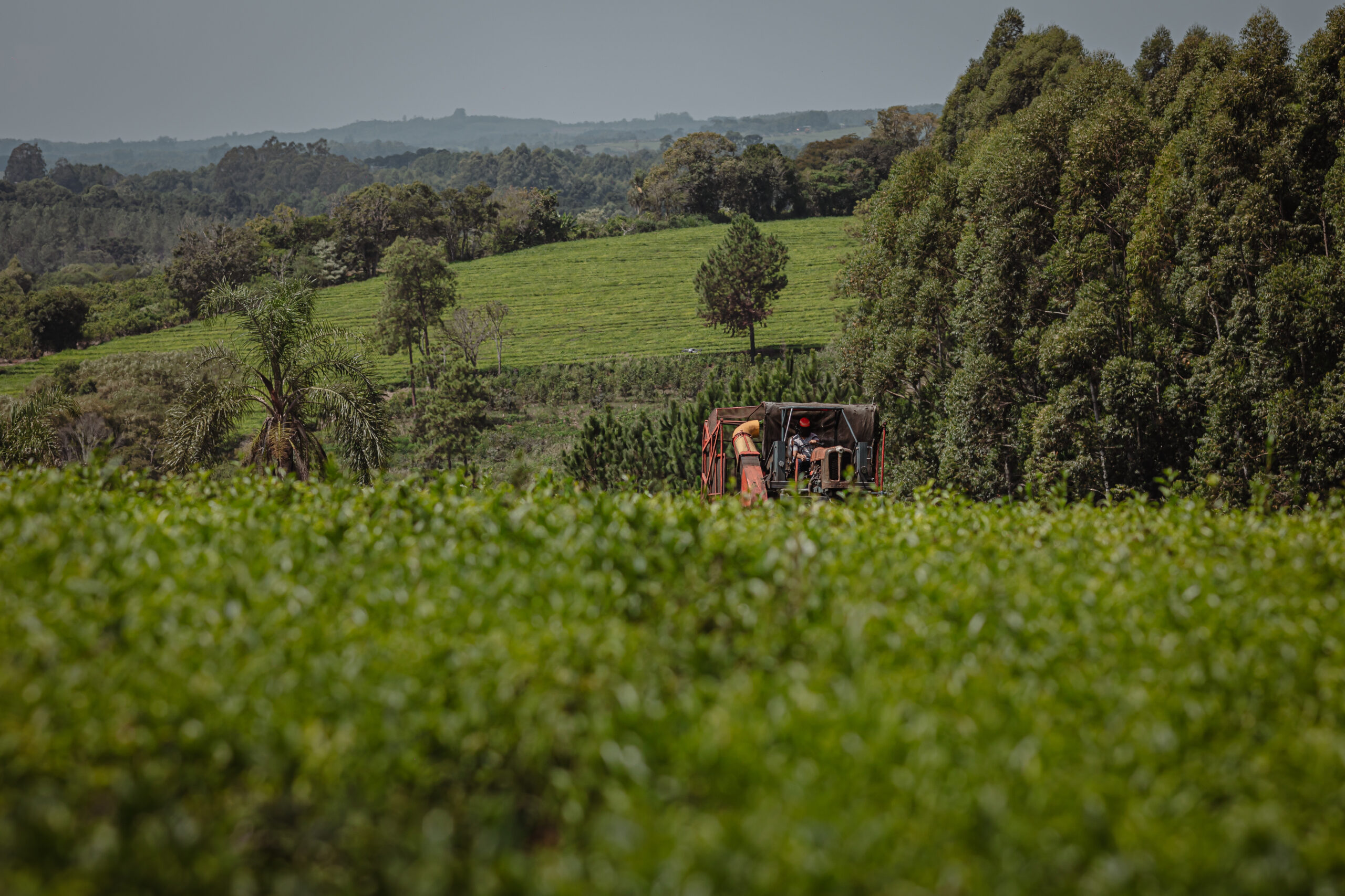Paisaje agrícola con tractor en plena actividad rodeado de vegetación nativa y cultivos verdes en un campo sustentable.