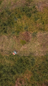 Vista aérea de un trabajador rural caminando entre plantaciones en un campo de cultivo, captada por un dron en contexto agrícola.