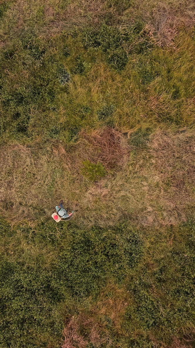 Vista aérea de un trabajador rural caminando entre plantaciones en un campo de cultivo, captada por un dron en contexto agrícola.