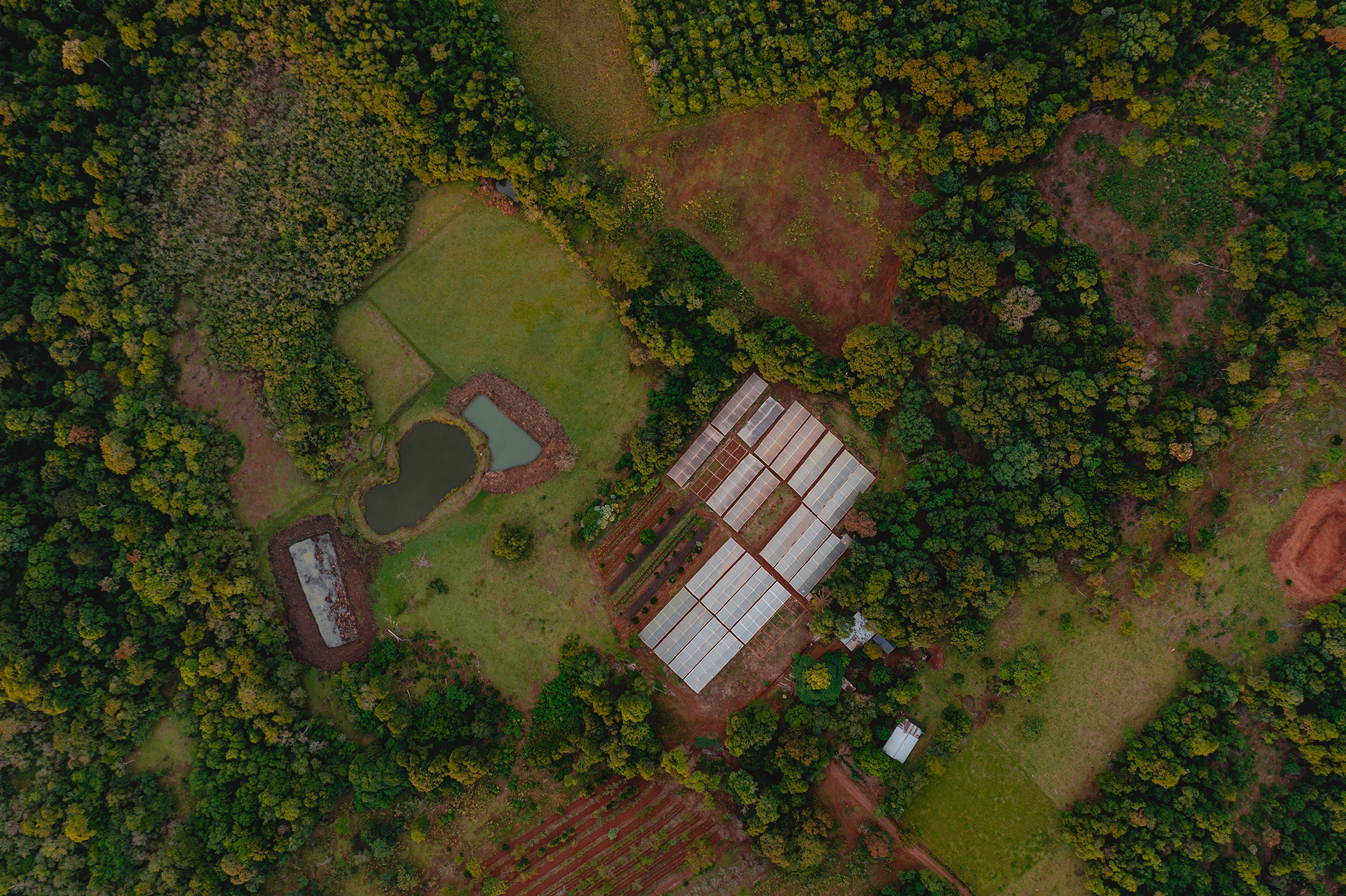 Vista aérea de un establecimiento rural rodeado de bosque nativo, con invernaderos, cuerpos de agua y parcelas agrícolas integradas al paisaje natural.