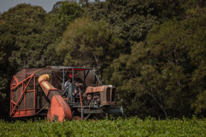 Maquinaria agrícola cosechando en un campo verde, rodeada de vegetación nativa, representando prácticas sustentables en entornos rurales.