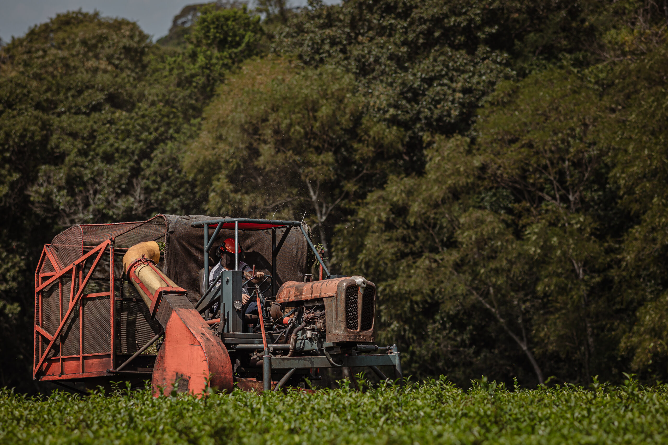 Maquinaria agrícola cosechando en un campo verde, rodeada de vegetación nativa, representando prácticas sustentables en entornos rurales.