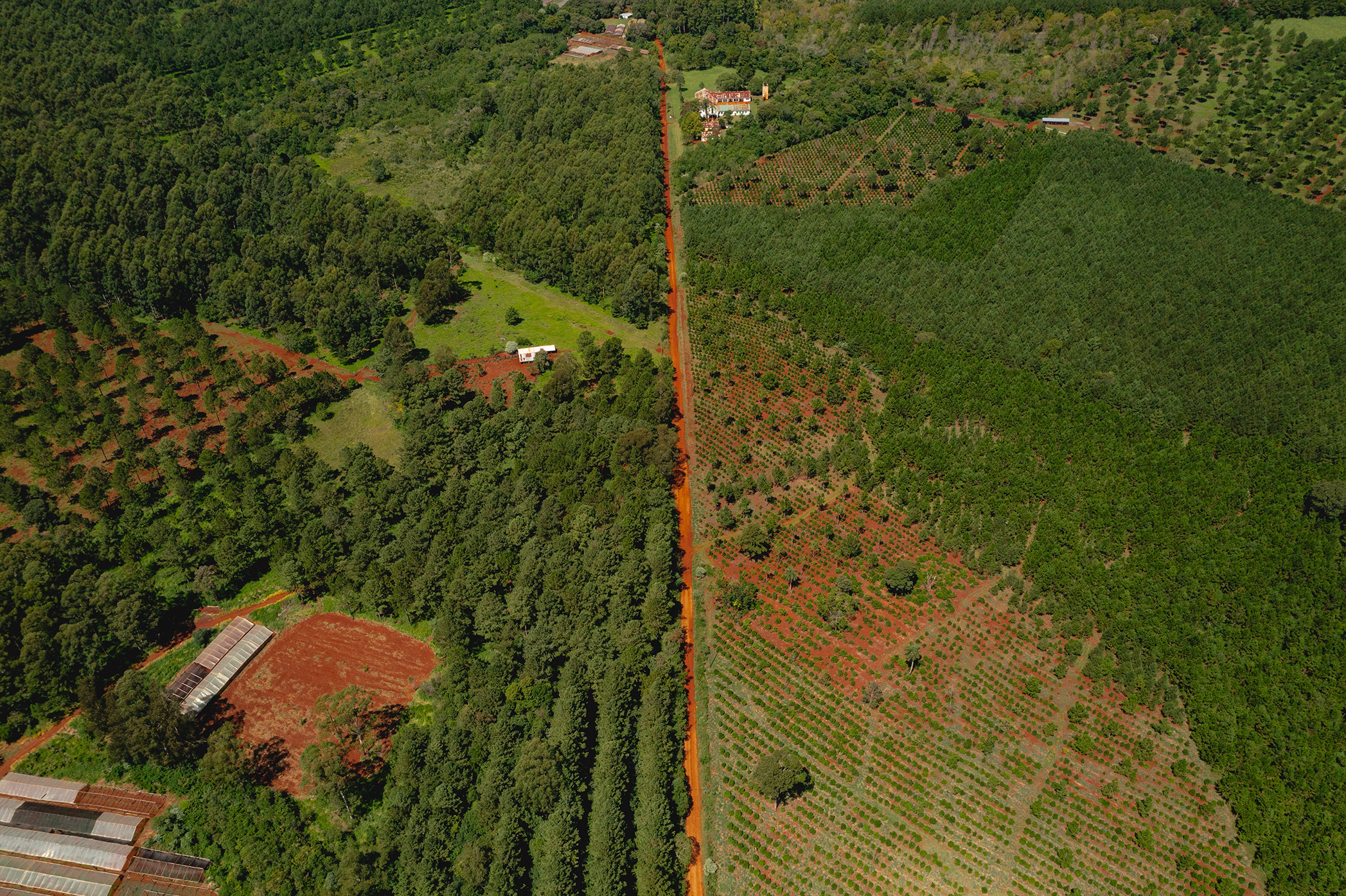 Vista aérea de campos agrícolas divididos por un camino de tierra, con distintas parcelas de cultivos y zonas forestadas, representando la diversidad de producción rural y su potencial para la tecnología de drones.