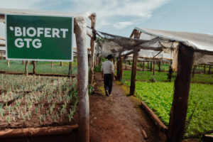 Agricultor caminando entre cultivos verdes bajo invernaderos rústicos con un cartel que indica “BIOFERT GTG”.