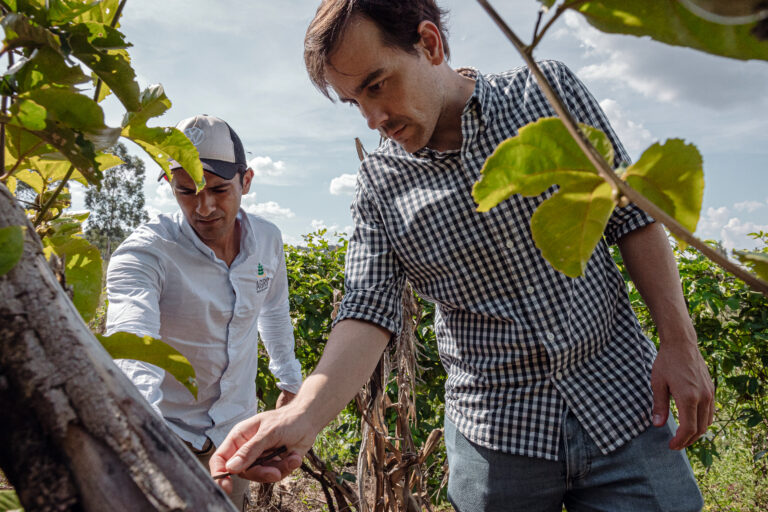 Matías Imperiale se refirió a las acciones que realiza Agro Sustentable para obtener una agricultura amigable con el ambiente
