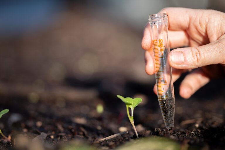 Mejora de la eficiencia en agricultura orgánica con bioestimulantes