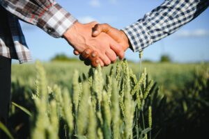 Dos agricultores se dan la mano sobre un cultivo de trigo, simbolizando acuerdos sostenibles y colaboración rural.