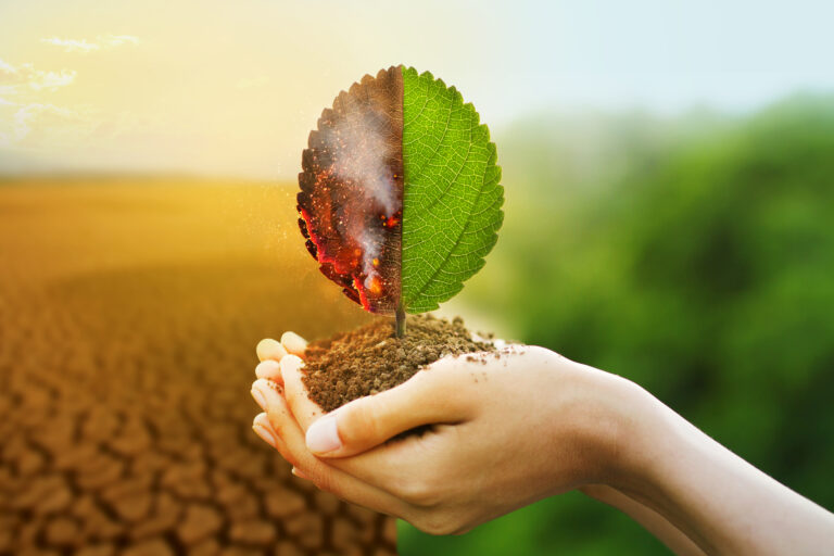 Mitigación del cambio climático a través de la agricultura regenerativa