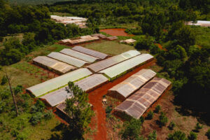 Invernaderos de Agro Sustentable rodeados de vegetación nativa, integrados en un entorno natural.