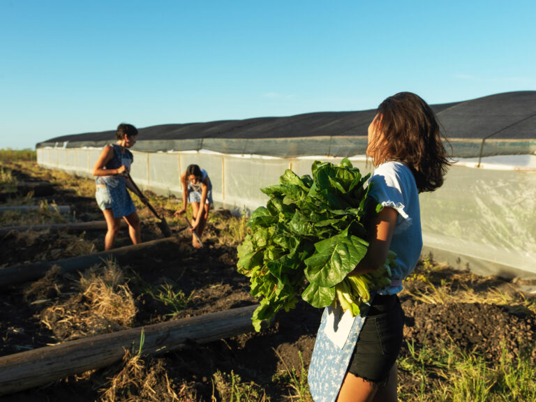 Avances tecnológicos en prácticas de producción orgánica