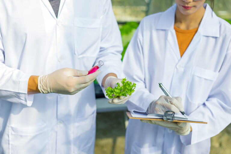 Producción orgánica y su vínculo con la salud pública