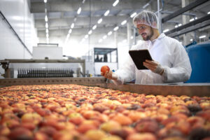 Técnico en planta agroalimentaria inspecciona manzanas con tablet en mano, vestido con equipo de protección sanitaria.