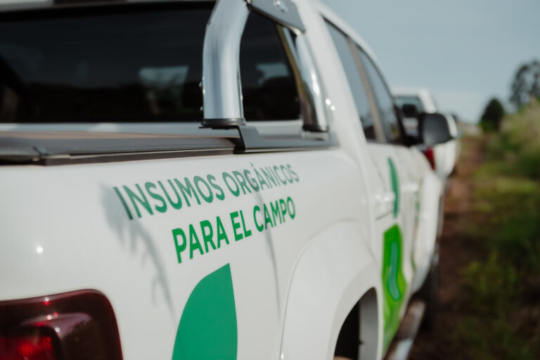 El riego y mantenimiento que requiere el cultivo de pepino bajo plástico 