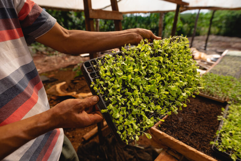 Elegir y usar los insumos agrícolas adecuados: la clave para la rentabilidad productiva