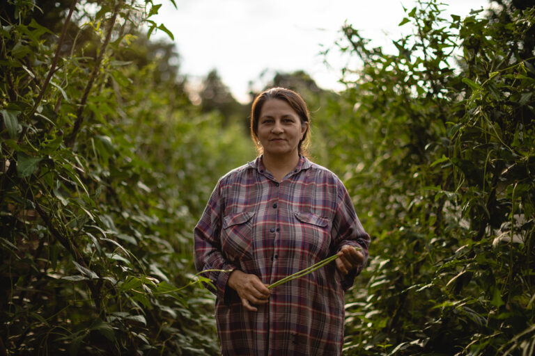 Los enfoques que se esconden detrás de una producción agrícola sostenible