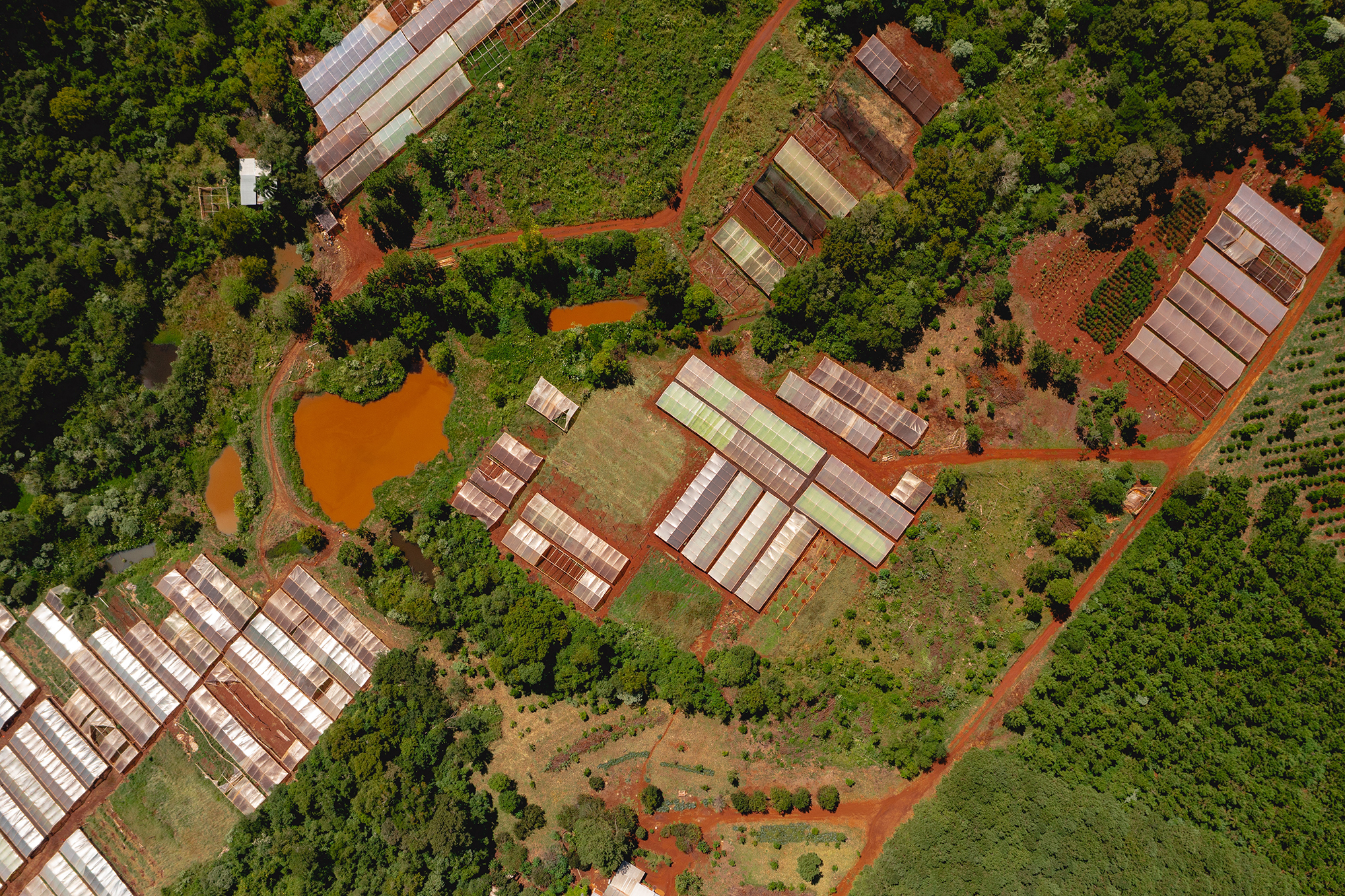 Vista aérea de invernaderos agrícolas rodeados de vegetación y suelos rojizos, con estanques naturales que evidencian la influencia de la fertilidad y estructura del suelo en el manejo productivo.