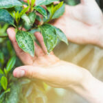 Calidad agroambiental