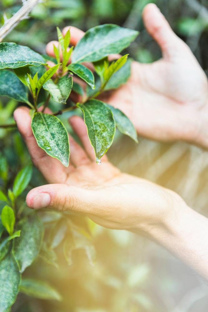 Calidad agroambiental