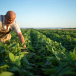 Conceptualización y alcance de términos.