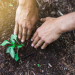 Principio de precaución