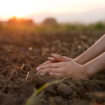 El derecho a un ambiente sano 